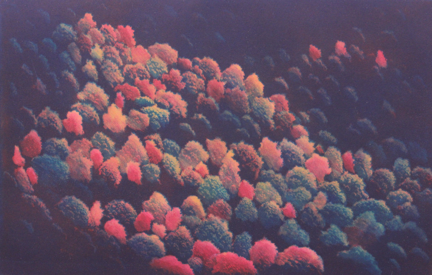 Autumn VIII